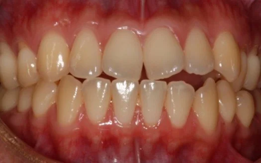 Dentist