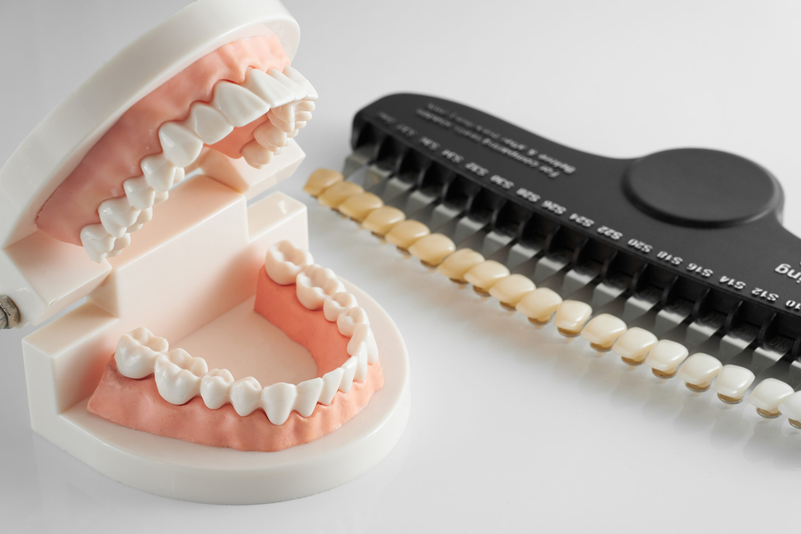 Dentist